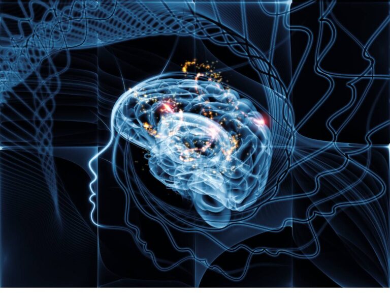 Praca mózgu. Obrazek w artykule Sposoby na gimnastykę dla umysłu. Ćwiczenia, które poprawią Twoją sprawność umysłu
