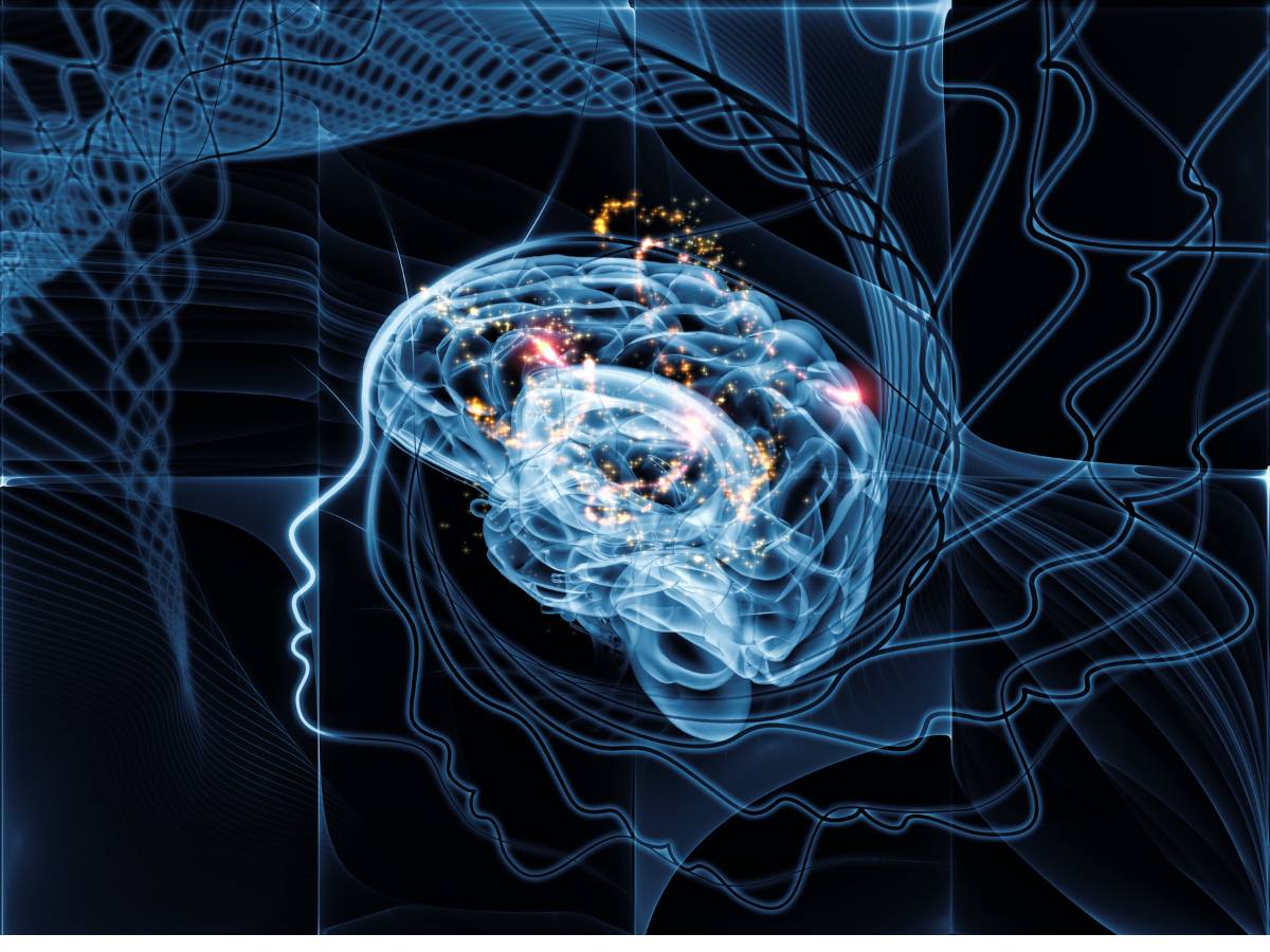 Praca mózgu. Obrazek w artykule Sposoby na gimnastykę dla umysłu. Ćwiczenia, które poprawią Twoją sprawność umysłu