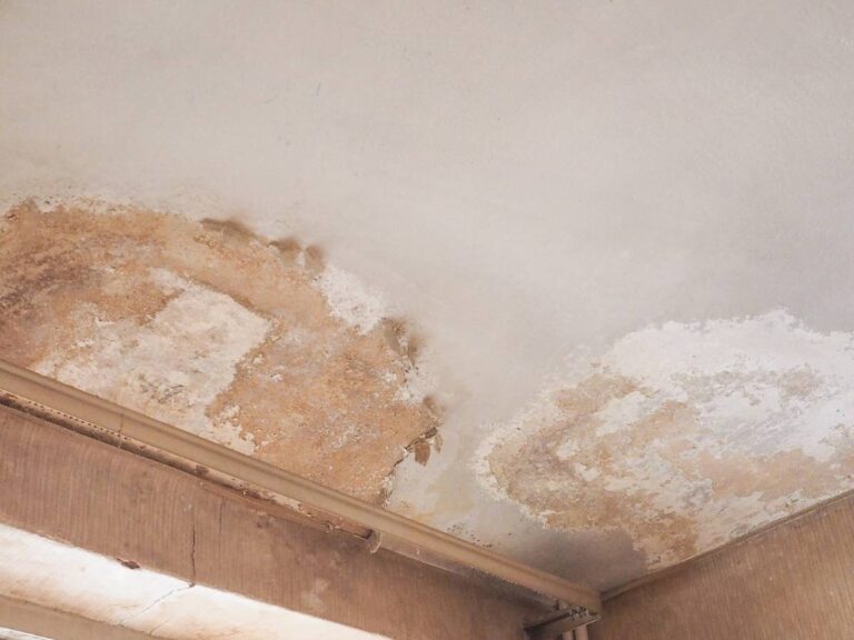 Wilgoć na ścianie. Obrazek w artykule Domowe sposoby na wilgoć w mieszkaniu. Jak pozbyć się wilgoci w domu?