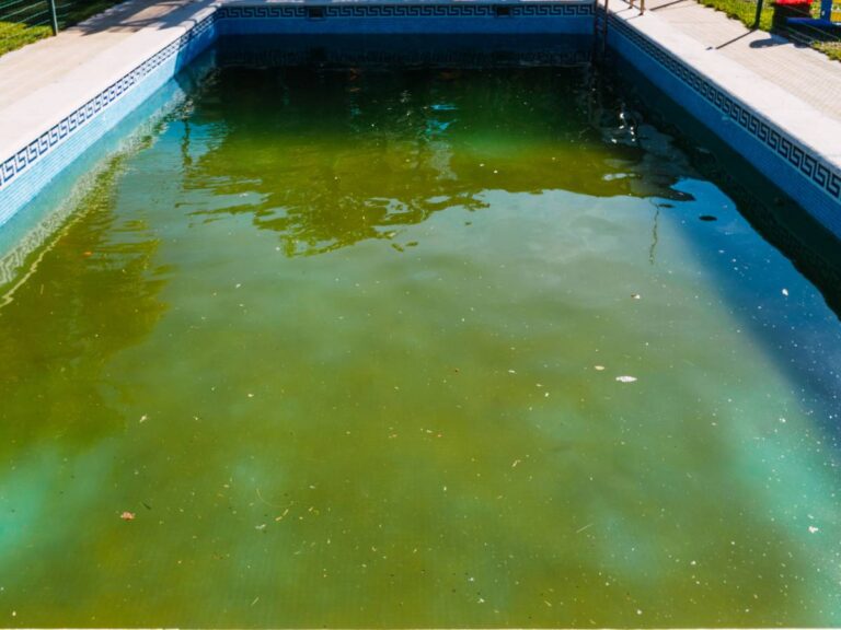 Basen ogrodowy z wodą z glonami. Obrazek w artykule Sposób na zieloną wodę w basenie. Skuteczne rozwiązania na zieloną wodę.