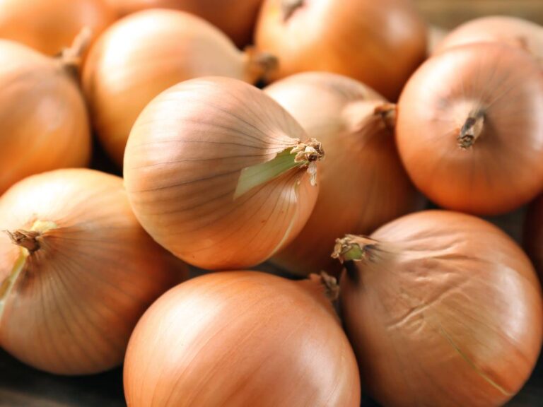 wykorzystanie cebuli